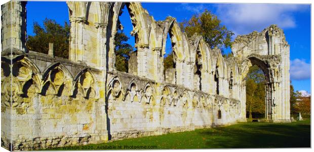 St. Mary's Abbey, York. Canvas Print by Steven Watson