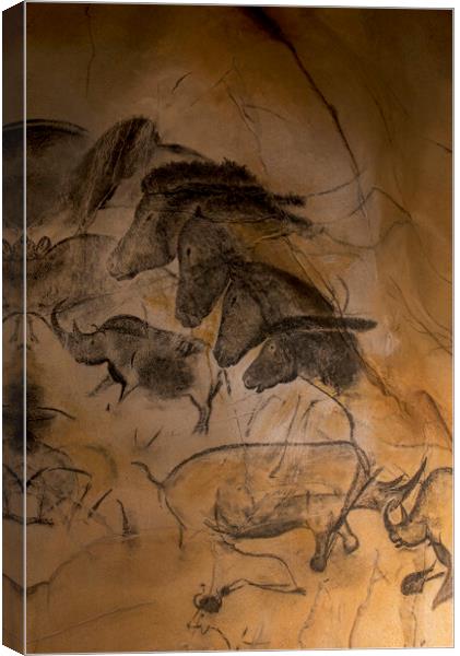 Chauvet Cave Art Canvas Print by Arterra 