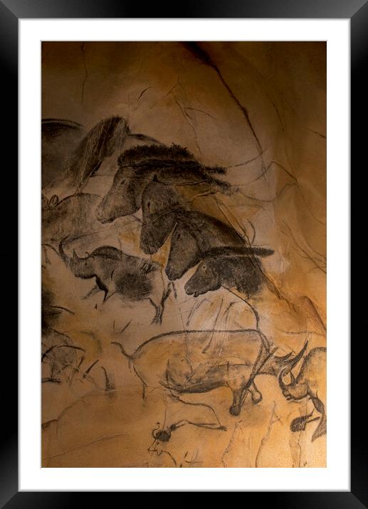 Chauvet Cave Art Framed Mounted Print by Arterra 