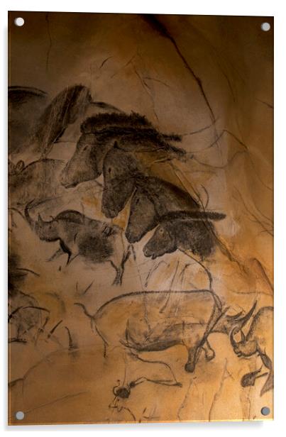 Chauvet Cave Art Acrylic by Arterra 