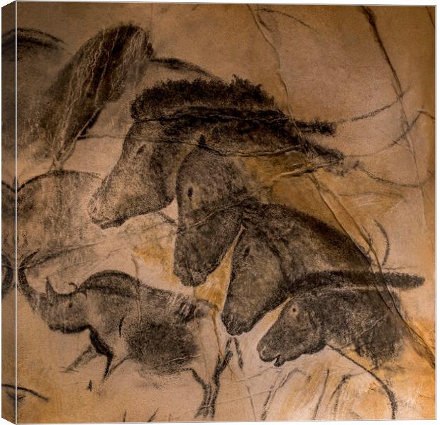 Chauvet Cave Horses Canvas Print by Arterra 