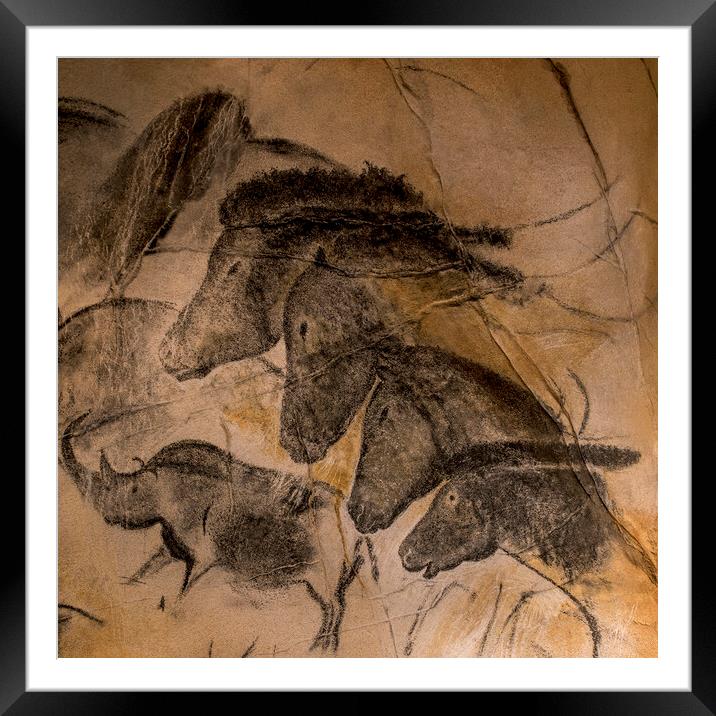 Chauvet Cave Horses Framed Mounted Print by Arterra 