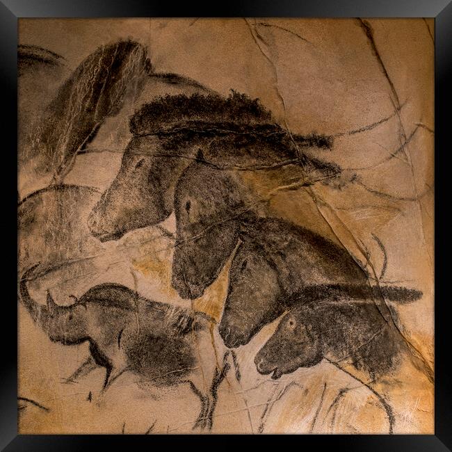 Chauvet Cave Horses Framed Print by Arterra 