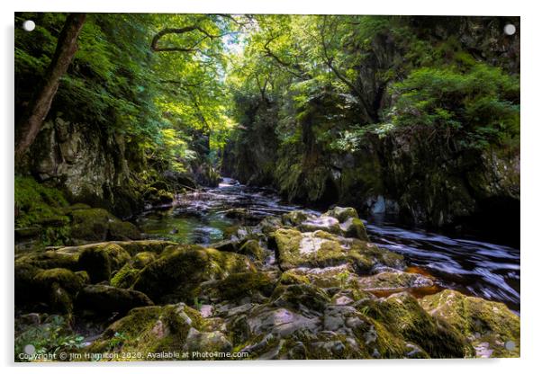 Fairy Glen, Snowdonia Wales Acrylic by jim Hamilton