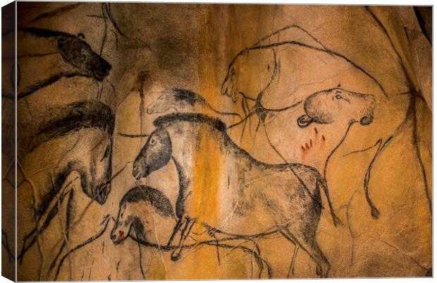 Chauvet Cave Animals Canvas Print by Arterra 