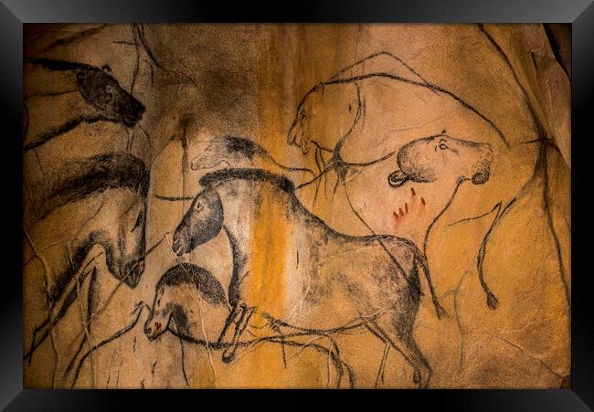 Chauvet Cave Animals Framed Print by Arterra 