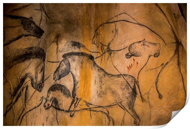 Chauvet Cave Animals Print by Arterra 