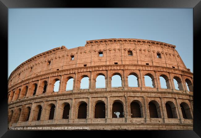 Colosseum of Rome Framed Print by Efraim Gal