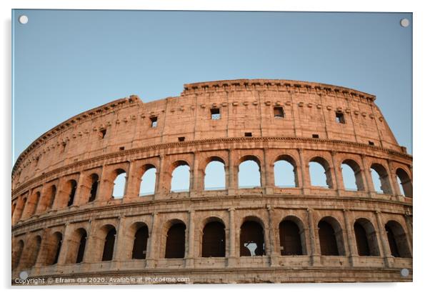 Colosseum of Rome Acrylic by Efraim Gal