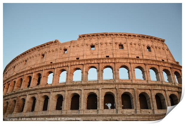 Colosseum of Rome Print by Efraim Gal