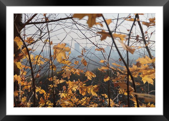 Autumn view 1 Framed Mounted Print by Yulia Vinnitsky