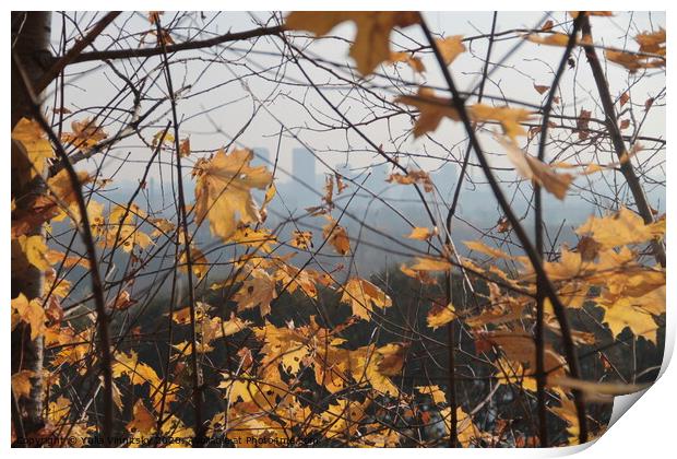 Autumn view 1 Print by Yulia Vinnitsky