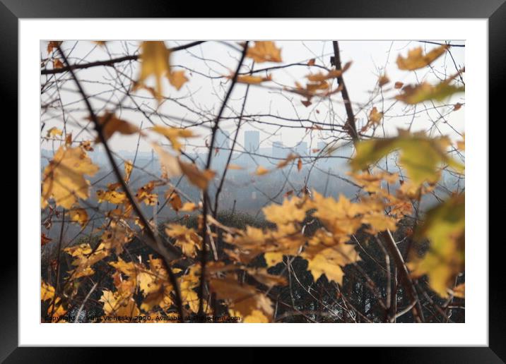 Autumn view 3 Framed Mounted Print by Yulia Vinnitsky