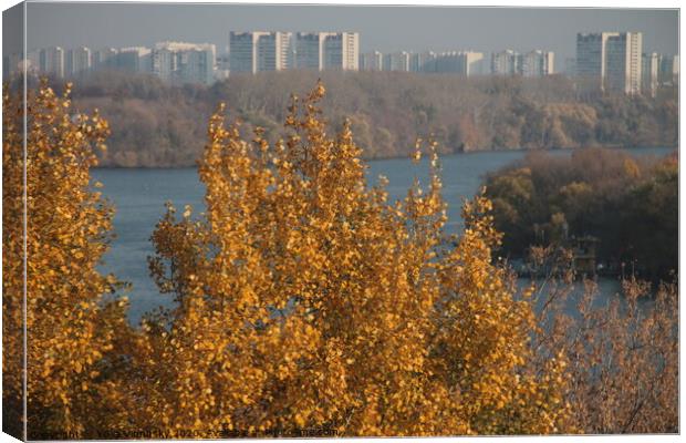 A city view in autumn Canvas Print by Yulia Vinnitsky