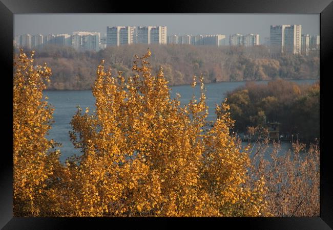 A city view in autumn Framed Print by Yulia Vinnitsky