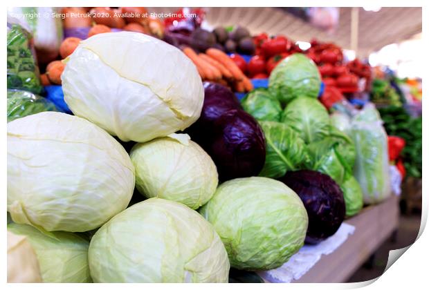 White cabbage heads against the background of various other varieties in blur. Print by Sergii Petruk