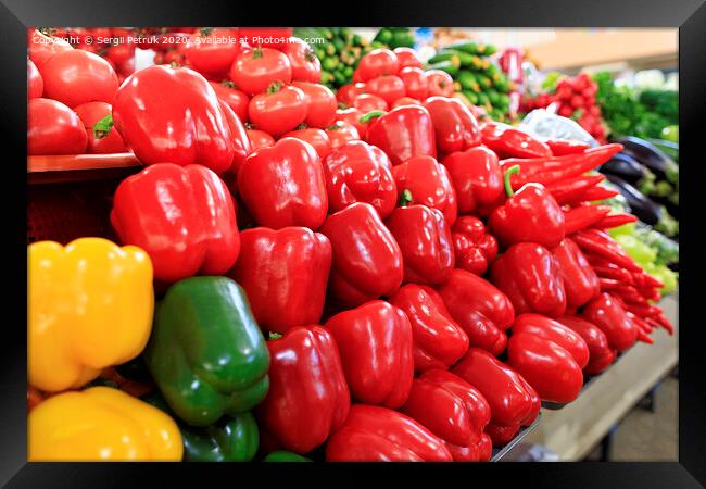 Multicolored sweet peppers, tomatoes, cucumbers, eggplants and other vegetables sold on the market Framed Print by Sergii Petruk
