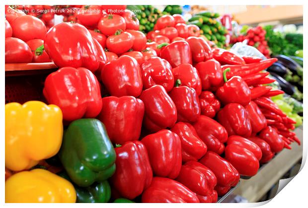 Multicolored sweet peppers, tomatoes, cucumbers, eggplants and other vegetables sold on the market Print by Sergii Petruk