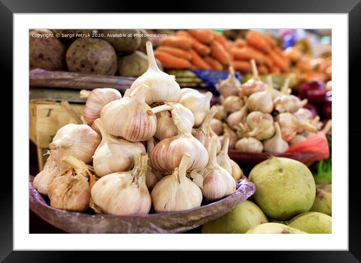 Dry heads of garlic the background of other ripe vegetables in the blur. Framed Mounted Print by Sergii Petruk