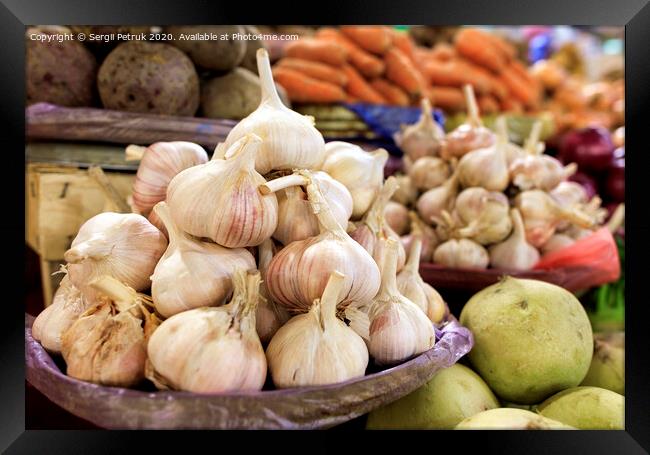 Dry heads of garlic the background of other ripe vegetables in the blur. Framed Print by Sergii Petruk