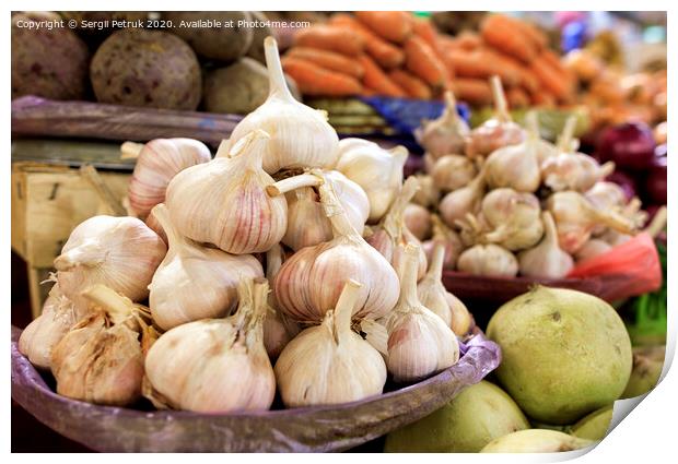 Dry heads of garlic the background of other ripe vegetables in the blur. Print by Sergii Petruk