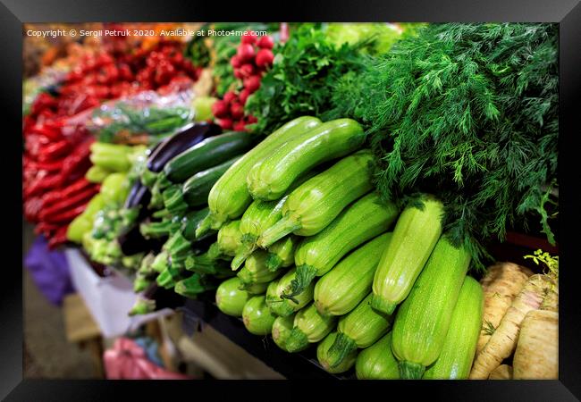 Juicy greens of zucchini, dill, parsley and eggplant, radish, is on the market for sale Framed Print by Sergii Petruk