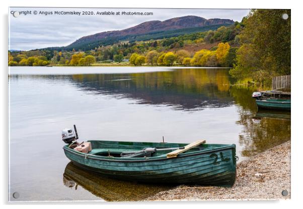 Beached boat on Lake of Menteith Acrylic by Angus McComiskey
