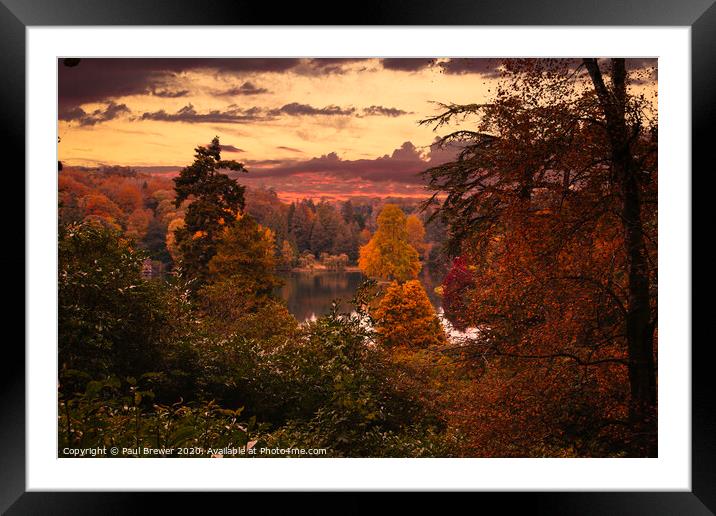 Fall Forest Framed Mounted Print by Paul Brewer