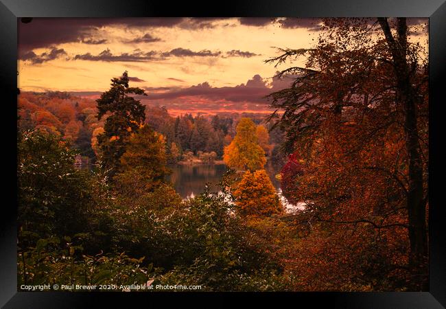 Fall Forest Framed Print by Paul Brewer