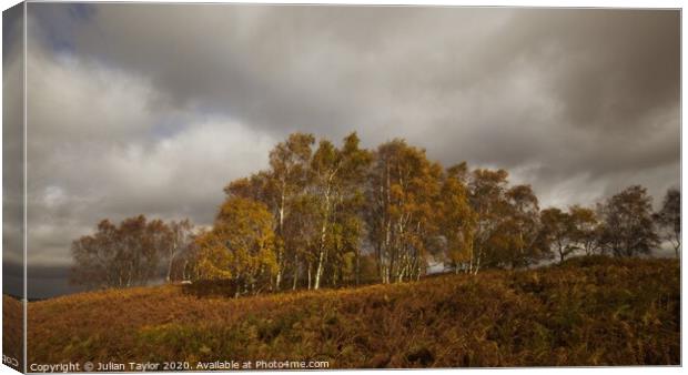 Colours Of Autumn, Peak District Canvas Print by Jules Taylor