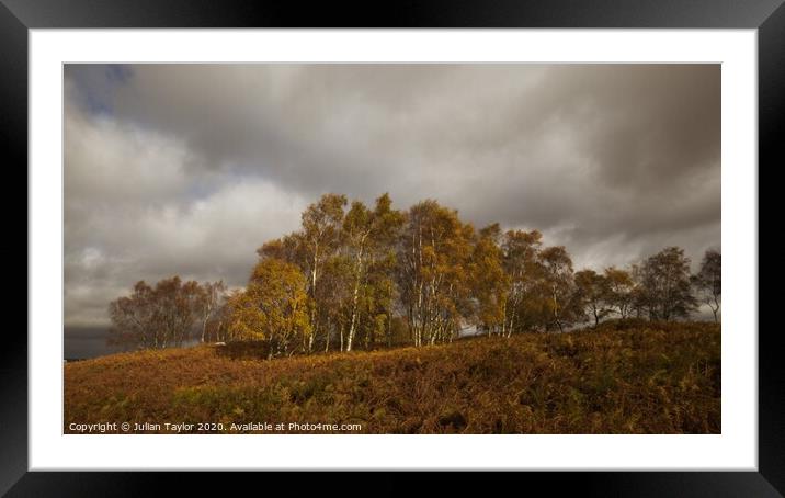 Colours Of Autumn, Peak District Framed Mounted Print by Jules Taylor