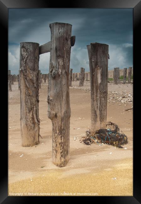 Beach defences Framed Print by Richard Ashbee