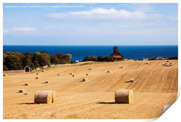 St Abbs Harvest Farming in Scotland Print by Pearl Bucknall