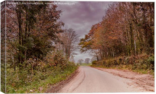 Outdoor road Canvas Print by Roy Hornyak