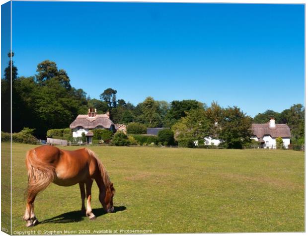 Swan Green, New Forest National Park Canvas Print by Stephen Munn