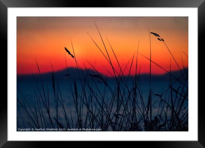 Wild grasses on Shell Island overlooking Bae Cered Framed Mounted Print by Heather Sheldrick