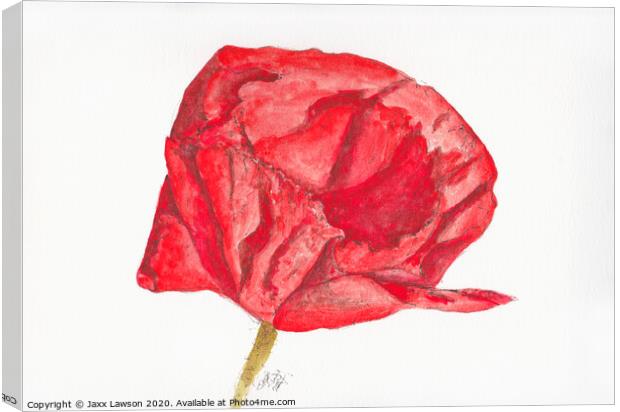 Poppy #4 Canvas Print by Jaxx Lawson