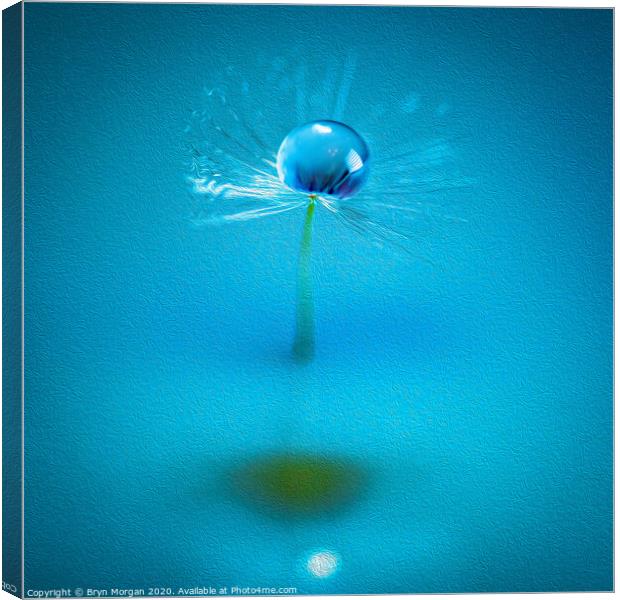 Dandelion and water droplet amongst the swirls Canvas Print by Bryn Morgan