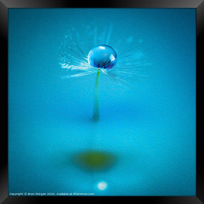 Dandelion and water droplet amongst the swirls Framed Print by Bryn Morgan
