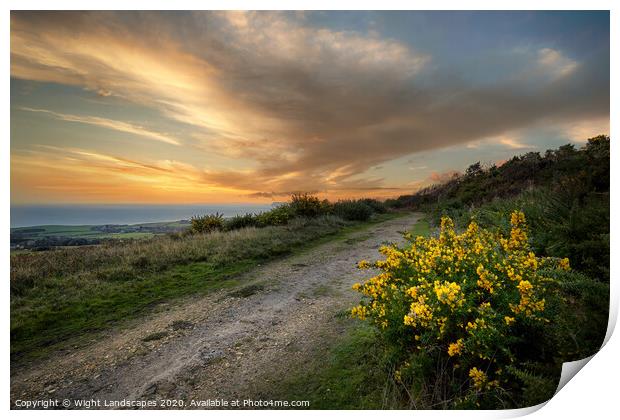 Mottistone Common Sunset Print by Wight Landscapes
