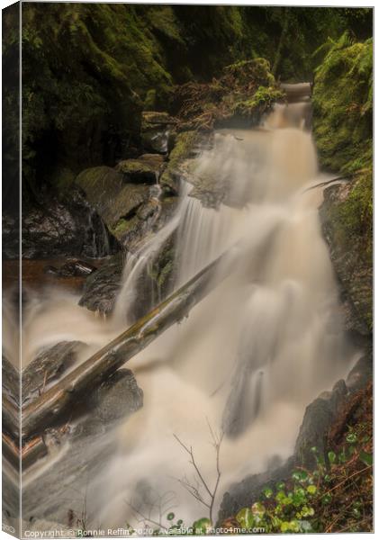 Log In Waterfall Canvas Print by Ronnie Reffin