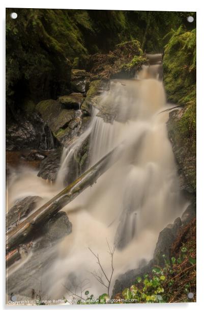 Log In Waterfall Acrylic by Ronnie Reffin