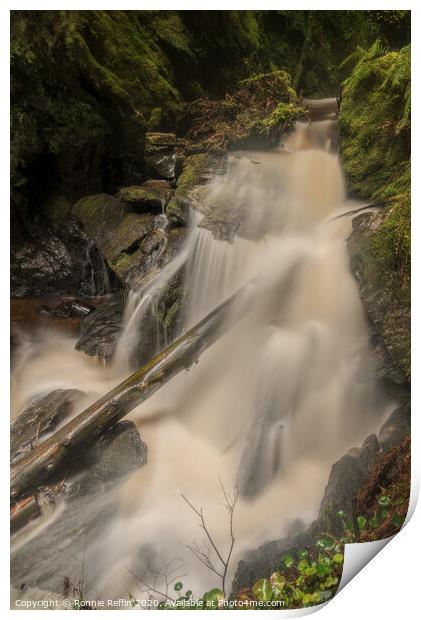 Log In Waterfall Print by Ronnie Reffin
