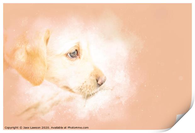 Stitch the Labrador puppy Print by Jaxx Lawson