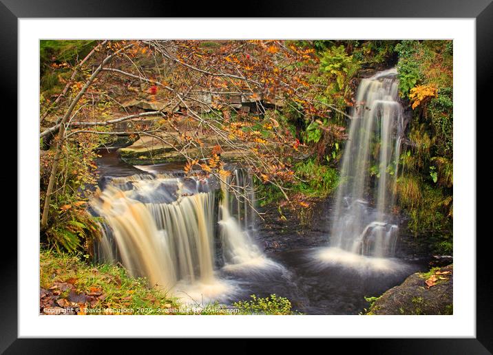 Autumn frames the falls Framed Mounted Print by David McCulloch