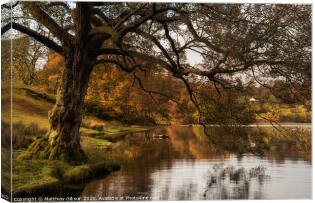 Stunning Autumn Fall landscape of lake in stunning sunrise soft light in English countryside Canvas Print by Matthew Gibson