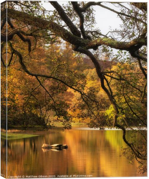 Stunning Autumn Fall landscape of lake in stunning sunrise soft light in English countryside Canvas Print by Matthew Gibson