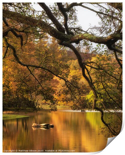 Stunning Autumn Fall landscape of lake in stunning sunrise soft light in English countryside Print by Matthew Gibson