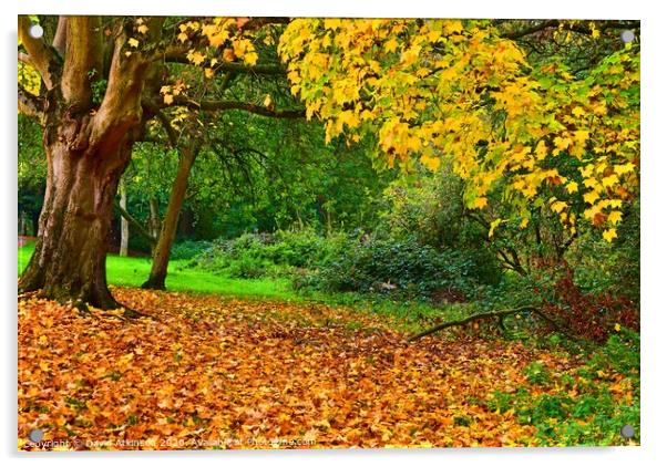 Autumn Leaves Acrylic by David Atkinson