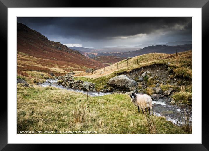 Borrowdale Valley in the Lake District Framed Mounted Print by Heidi Stewart